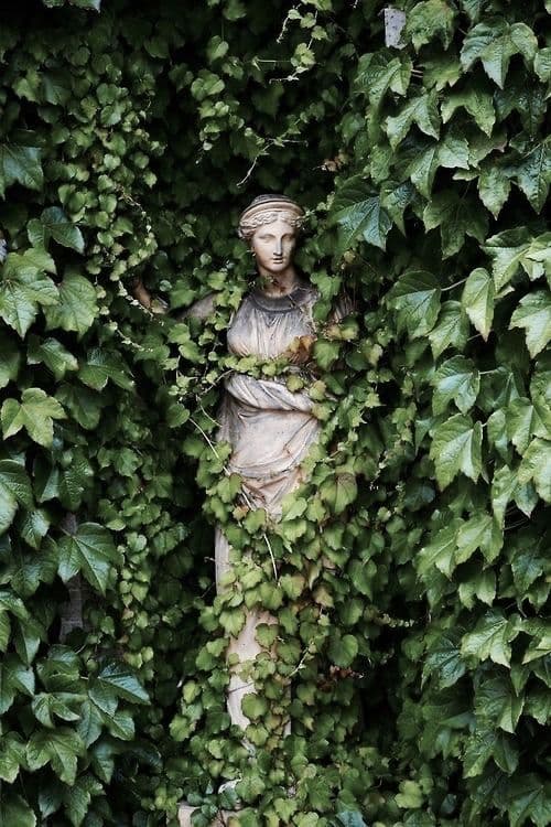 A classical marble statue overgrown with ivy
